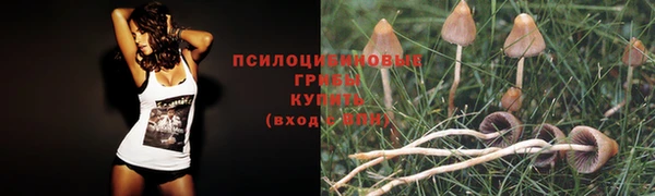 ешки Магас