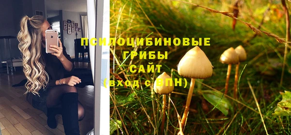 ешки Магас