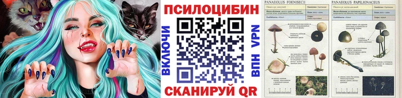 где найти наркотики  Череповец  MEGA сайт  Галлюциногенные грибы Cubensis 